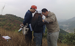 深圳市寶安區(qū)城市化轉地的清點、評估工作